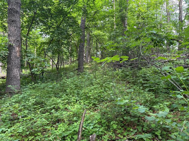 15xxx Riverside Drive, Brainerd, MN 56401