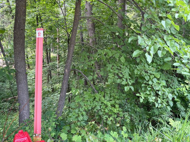 15xxx Riverside Drive, Brainerd, MN 56401