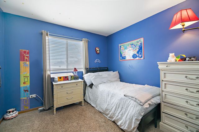 164 S Palmer Drive, Bolingbrook, IL 60490