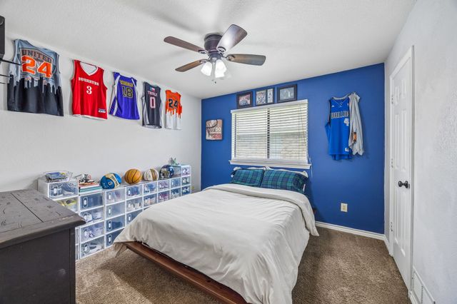 3517 Nova Trail, Plano, TX 75023