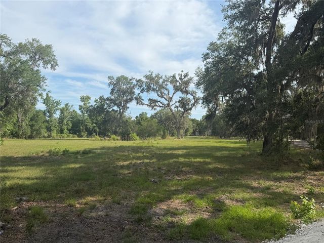 000 PALOMINO LAKES DR, Dade City, FL 33523