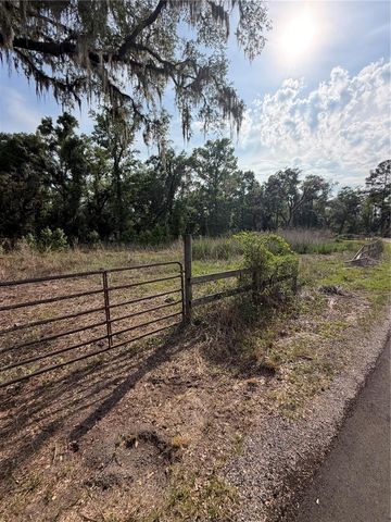 000 PALOMINO LAKES DR, Dade City, FL 33523