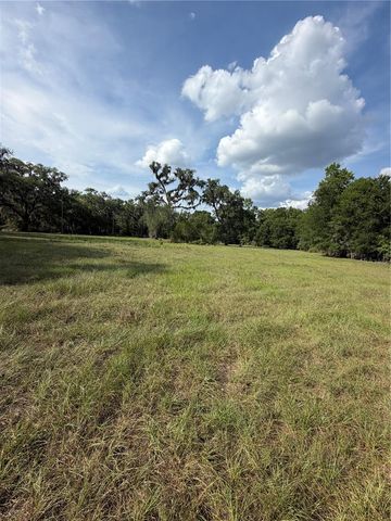 000 PALOMINO LAKES DR, Dade City, FL 33523
