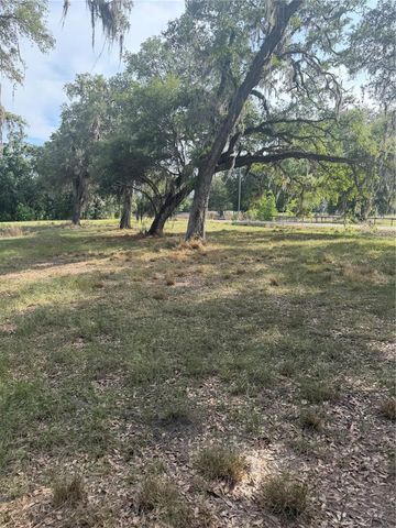 000 PALOMINO LAKES DR, Dade City, FL 33523