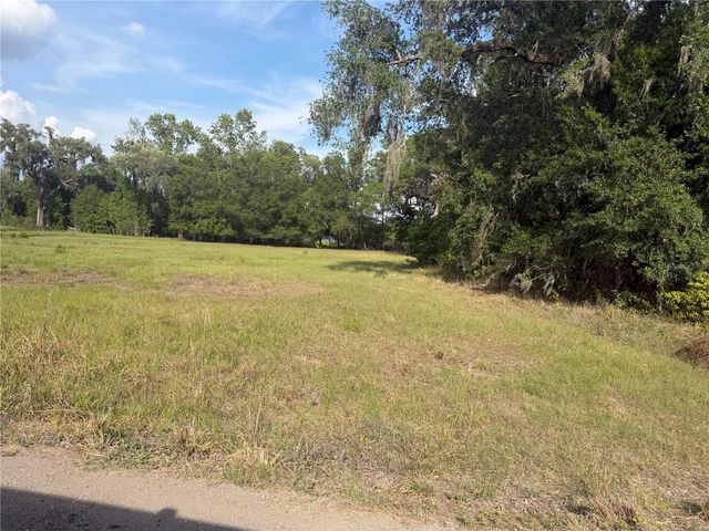 000 PALOMINO LAKES DR, Dade City, FL 33523