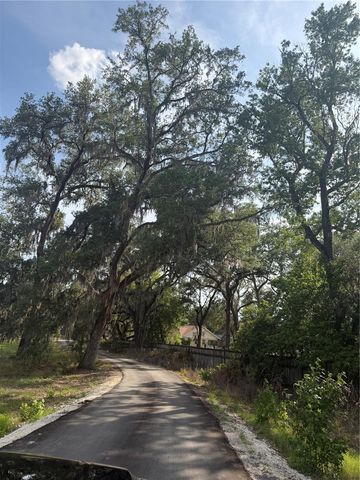 000 PALOMINO LAKES DR, Dade City, FL 33523
