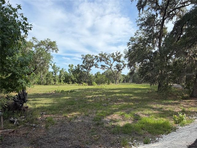 000 PALOMINO LAKES DR, Dade City, FL 33523