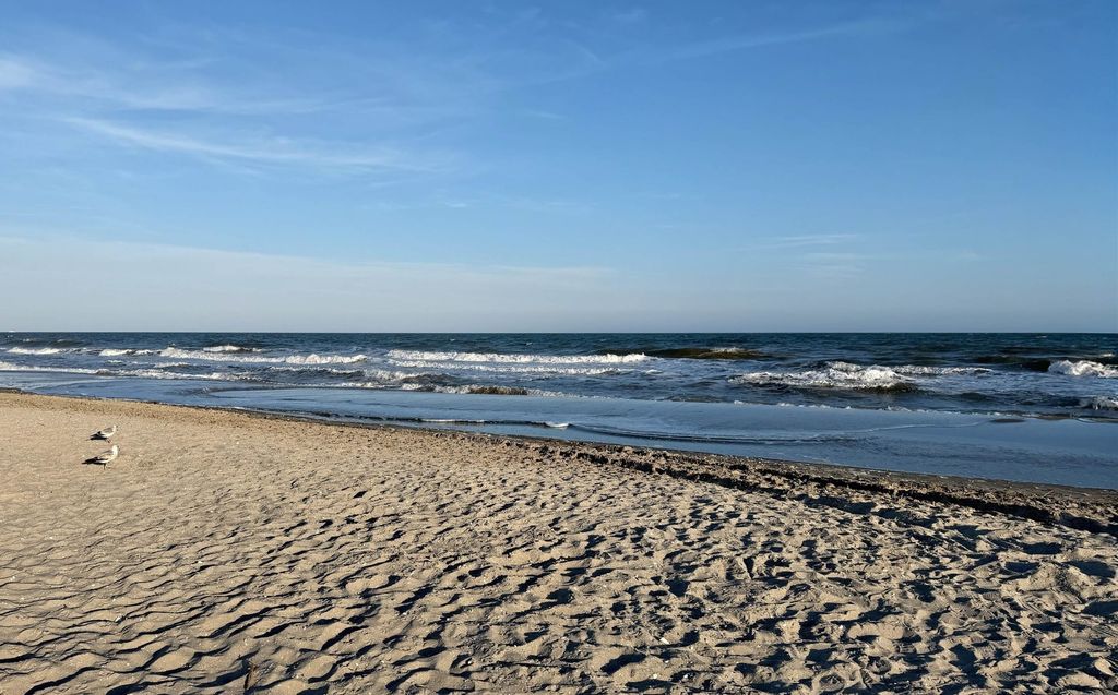 301 Shorehaven Dr., North Myrtle Beach, SC 29582 — photo 4