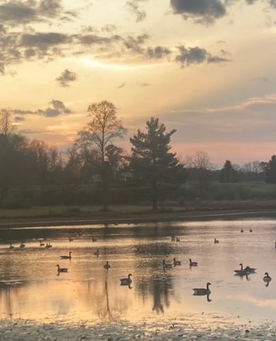 108 Oriole Drive, Derry Twp, PA 15670