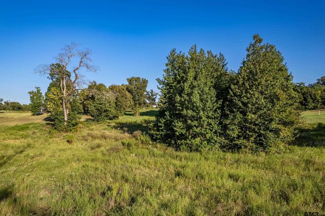 16534 Ridgeline Loop Lot 108, Winona, TX 75792