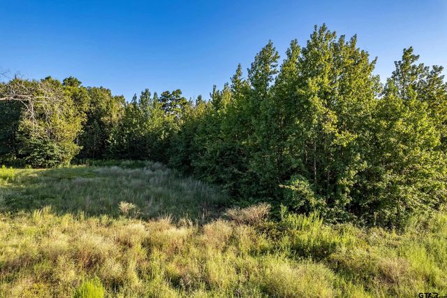 16534 Ridgeline Loop Lot 108, Winona, TX 75792