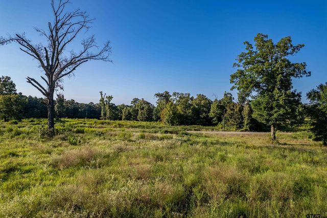 16534 Ridgeline Loop Lot 108, Winona, TX 75792