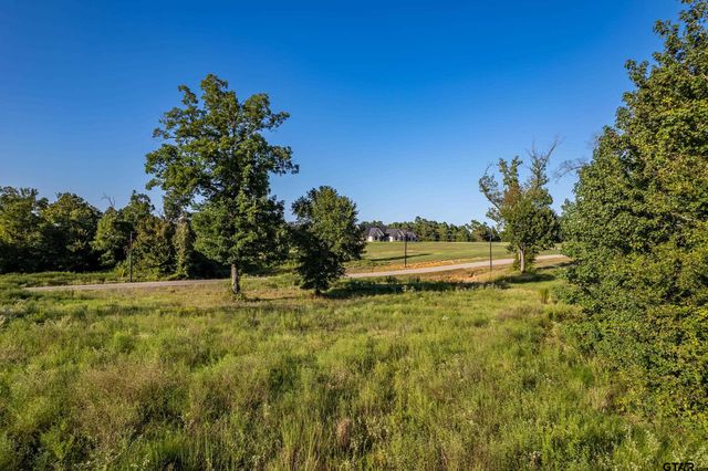 16534 Ridgeline Loop Lot 108, Winona, TX 75792