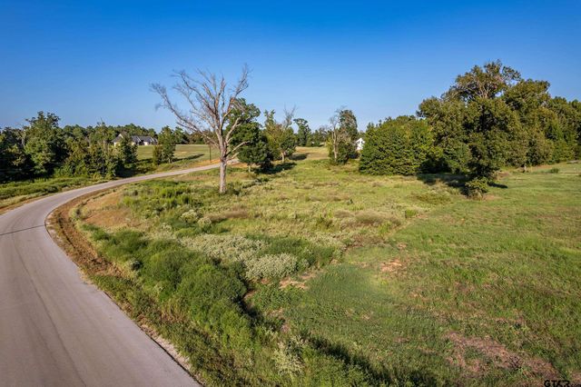 16534 Ridgeline Loop Lot 108, Winona, TX 75792