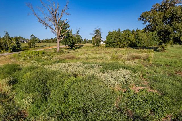 16534 Ridgeline Loop Lot 108, Winona, TX 75792