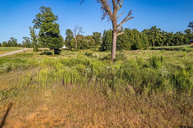 16534 Ridgeline Loop Lot 108, Winona, TX 75792