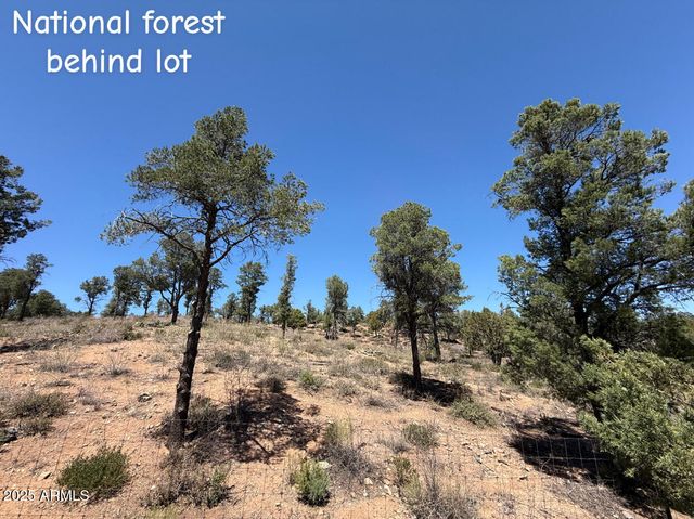 1115 N SCENIC Drive, Payson, AZ 85541