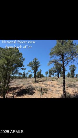 1115 N SCENIC Drive, Payson, AZ 85541