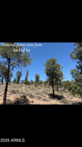 1115 N SCENIC Drive, Payson, AZ 85541