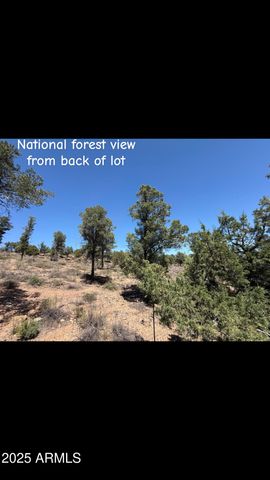 1115 N SCENIC Drive, Payson, AZ 85541