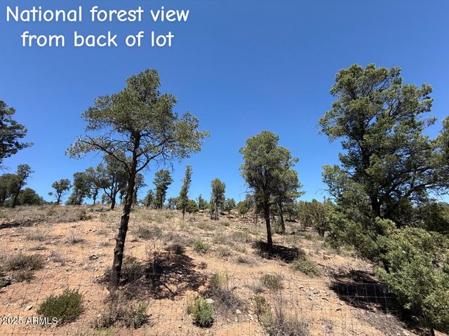 1115 N SCENIC Drive, Payson, AZ 85541