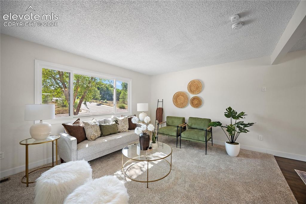 310 Cielo Vista Street, Colorado Springs, CO 80911 — photo 3