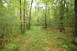 XXX Helsene Road, Webster, WI 54893