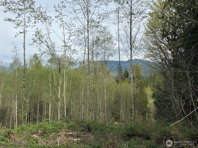 33115 37th Avenue NE, Arlington, WA 98223