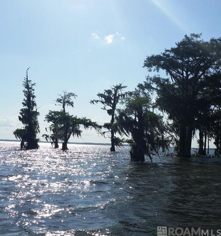 278 Bayou Tranquille Rd, Pierre Part, LA 70339