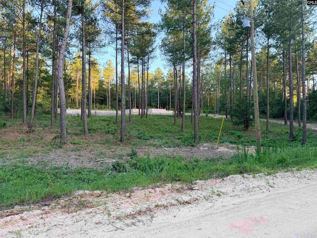 317 Tarpon Road, Batesburg, SC 29006