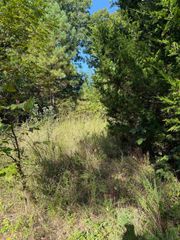 1213 Ridge Circle, Horseshoe Bend, AR 72512