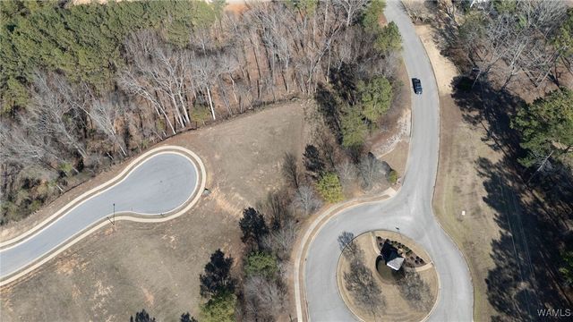0 Juno, Tuscaloosa, AL 35406