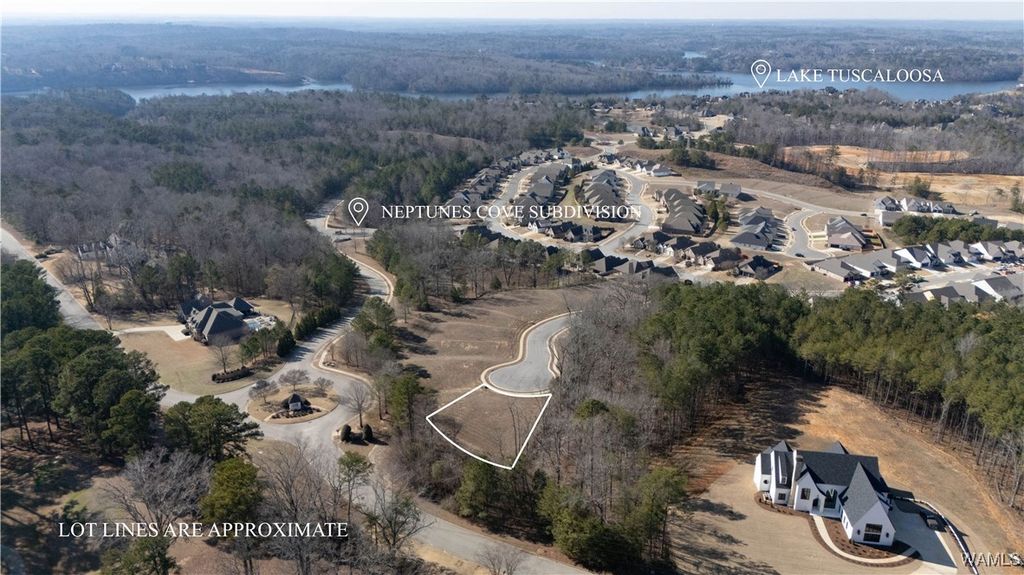 0 Juno, Tuscaloosa, AL 35406