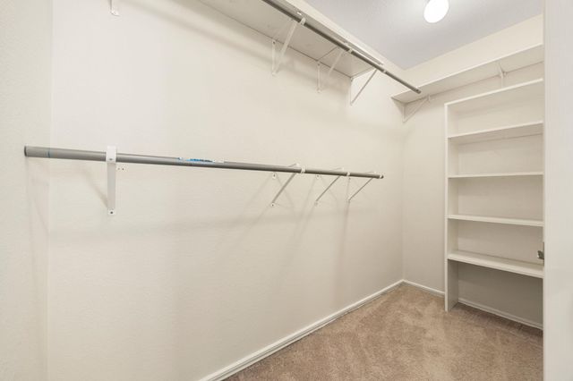 3638 Spring Canyon TRL, Round Rock, TX 78681