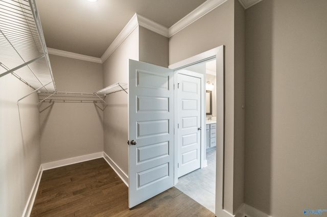 116 Kiley Ann Court, Meridianville, AL 35759