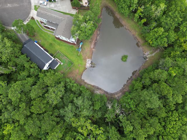1936 Chestnut Oak Lane, Charleston, SC 29414