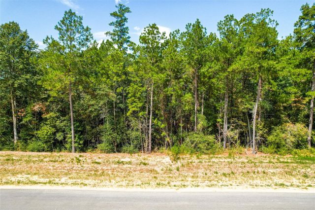 15577 Republic Park Trail, Willis, TX 77378