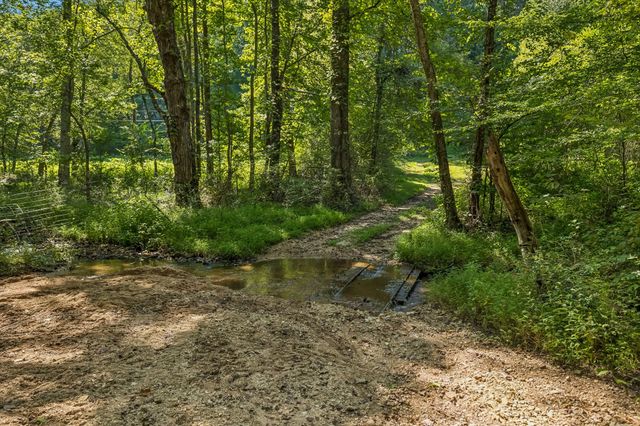 648 Tottys Bend Loop, Duck River, TN 38454