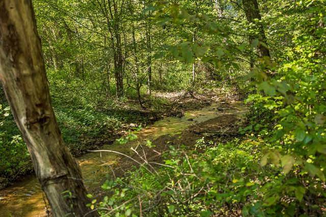 648 Tottys Bend Loop, Duck River, TN 38454