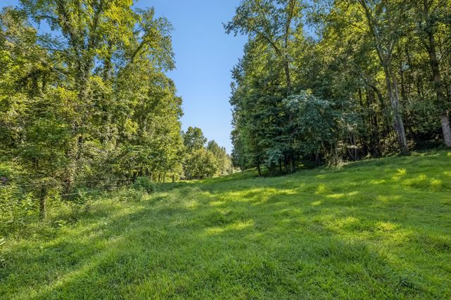 648 Tottys Bend Loop, Duck River, TN 38454