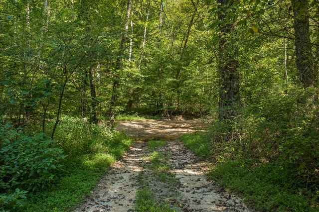 648 Tottys Bend Loop, Duck River, TN 38454