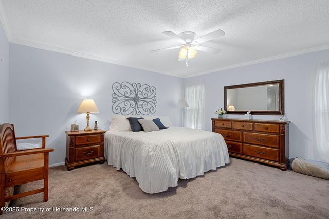 7437 Baywood Forest Circle, Spring Hill, FL 34606