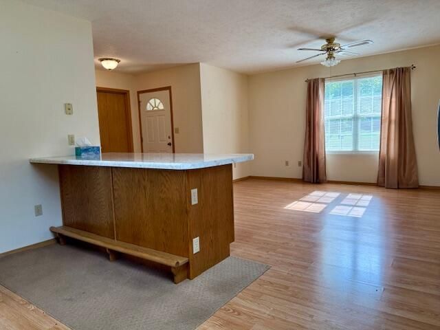 1301 Deer Park Lane, Mountain View, MO 65548