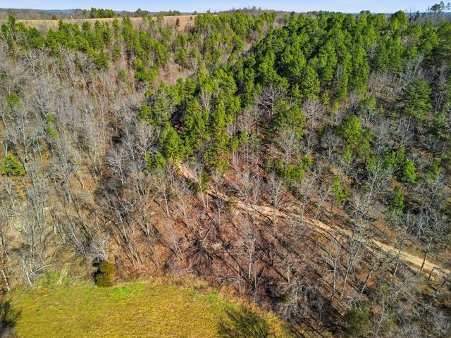 37286 County Road Ee-270, Vanzant, MO 65768