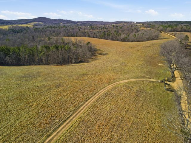 37286 County Road Ee-270, Vanzant, MO 65768