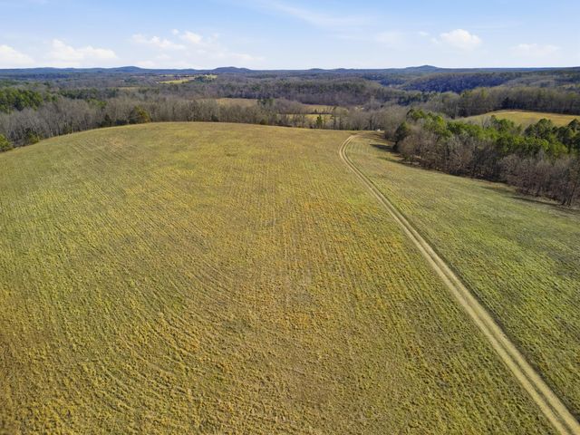 37286 County Road Ee-270, Vanzant, MO 65768