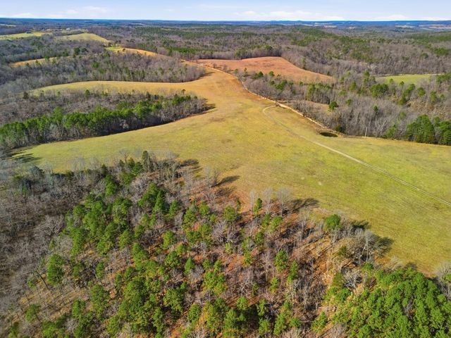 37286 County Road Ee-270, Vanzant, MO 65768