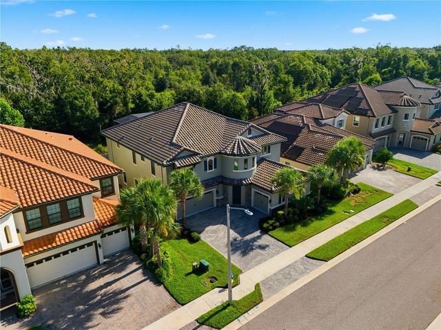 21711 AMELIA ROSE WAY, Land O Lakes, FL 34637