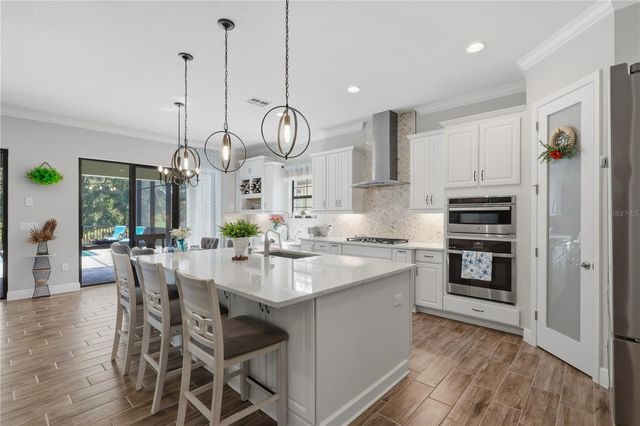 21711 AMELIA ROSE WAY, Land O Lakes, FL 34637