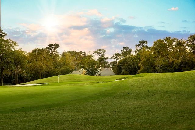 29 S Doe Run Drive, The Woodlands, TX 77380